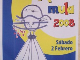 Carnaval de Mula 2008